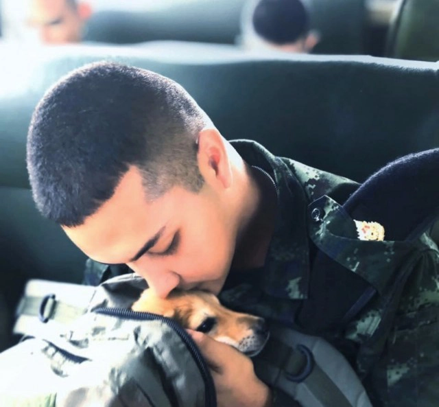 เศร้า" น้องสายสี่" สุนัขที่พลทหารเก็บมาเลี้ยงตายแล้ว