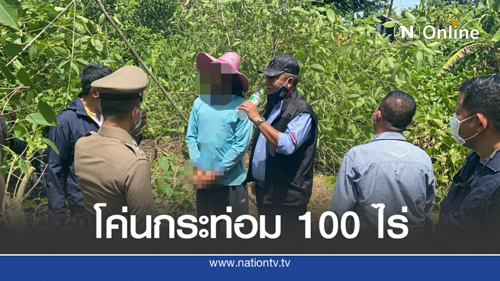 โค่นต้นกระท่อม บนที่ดินร่วม 100 ไร่ ย่านหนองจอก