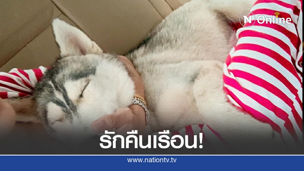 แจ้งข่าวดี "น้องกล้วยเชื่อม" ได้กลับบ้านแล้วนะทุกคน