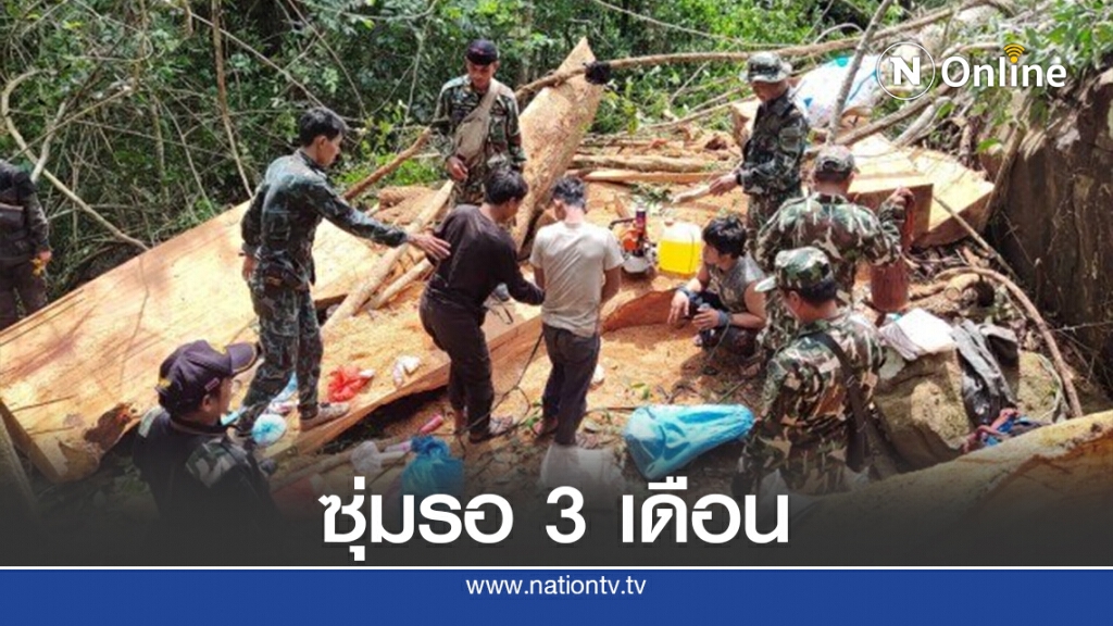 รวบขบวนการมอดไม้ชาวเขมร ลักลอบตัดไม้ฝั่งไทย