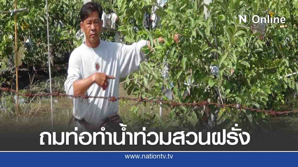 เกษตรกรร้องเจ้าของที่ข้างเคียงถมดินทำน้ำท่วมสวนฝรั่ง 10 ไร่