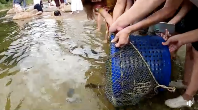 ดราม่า!! คณะบุญ ปล่อยปลาดุกลง‘คลองคีรีวง’