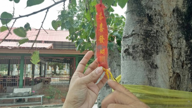 ชาวบ้านแห่ส่องเลขเด็ดไอ้จุกโผล่หางประทัด
