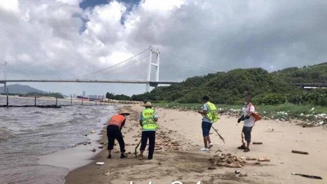 ขาหมูกว่า20ตัน ลอยเกลื่อนหาดที่จีน ยังไม่ทราบใครเป็นเจ้าของ