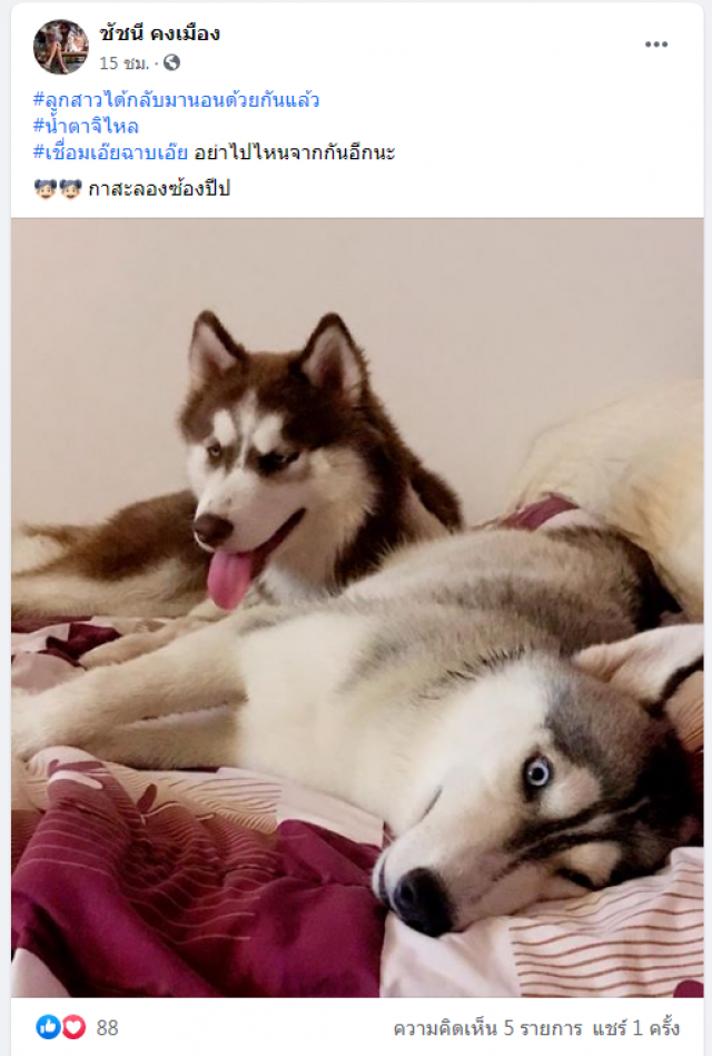 แจ้งข่าวดี "น้องกล้วยเชื่อม" ได้กลับบ้านแล้วนะทุกคน