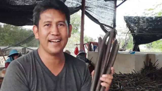 หนุ่มพะเยาหัวใสเพิ่มมูลค่า "ฝักคูณ"