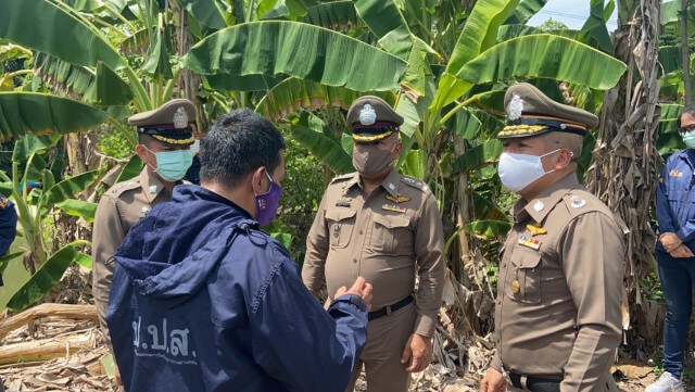 โค่นต้นกระท่อม บนที่ดินร่วม 100 ไร่ ย่านหนองจอก
