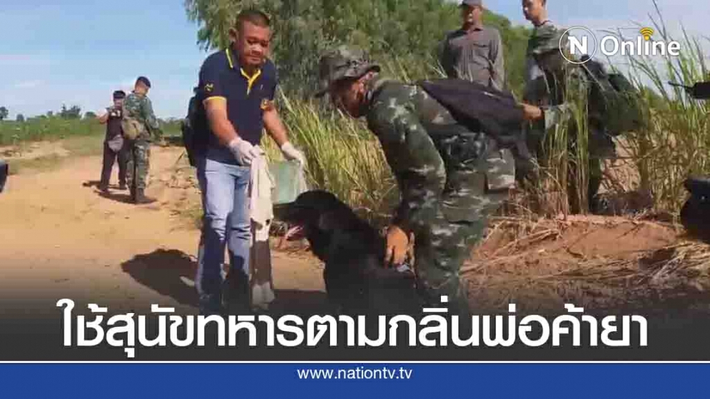 เจ้าหน้าที่ใช้สุนัขทหารตามดมกลิ่นพ่อค้ายาบ้ายิง ตร.สาหัส เจ้าหน้าที่ใช้สุนัขทหารตามดมกลิ่นพ่อค้ายาบ้ายิง ตร.สาหัส