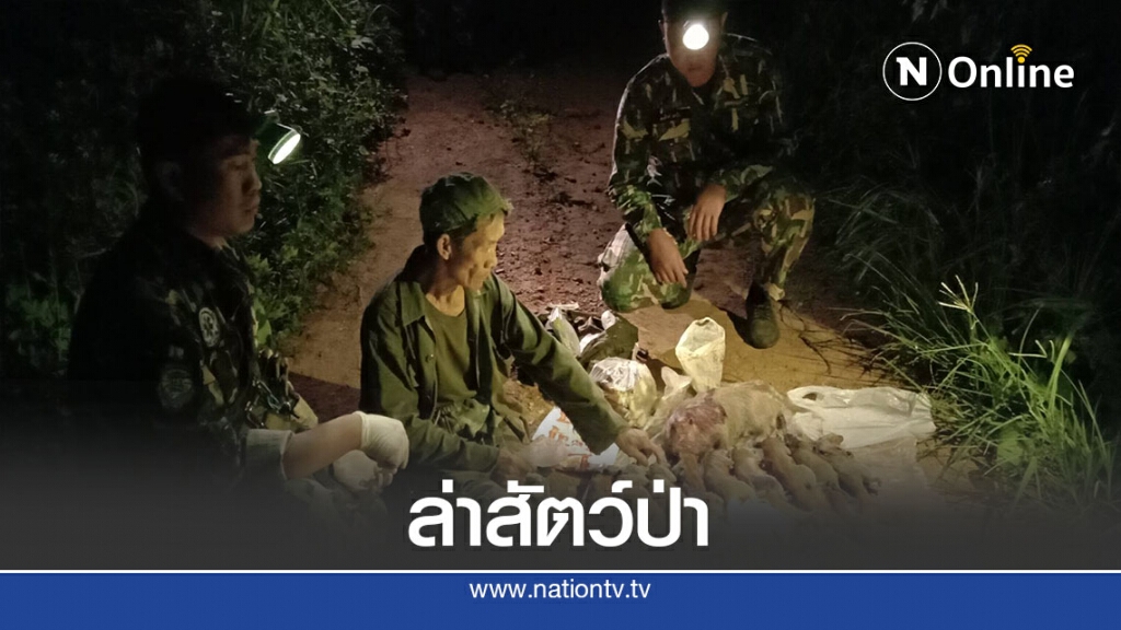 จับเฒ่าลักลอบล่าสัตว์ป่าในเขตอช.ภูซาง จับเฒ่าลักลอบล่าสัตว์ป่าในเขตอช.ภูซาง