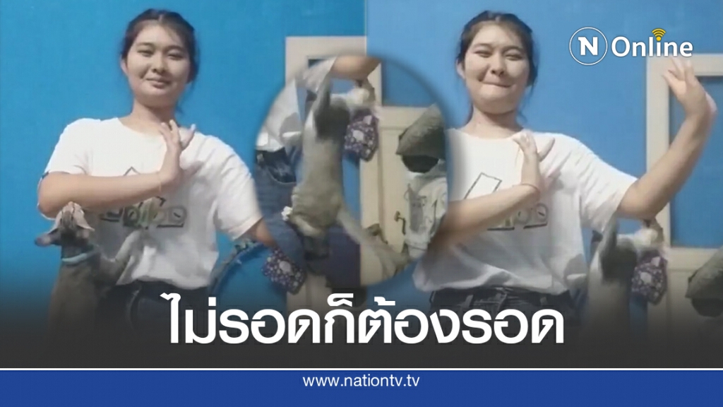 สาวถ่ายคลิปส่งอาจารย์ แมวร่วมแจม ลุ้นตั้งแต่ต้นรอดไม่รอด สาวถ่ายคลิปส่งอาจารย์ แมวร่วมแจม ลุ้นตั้งแต่ต้นรอดไม่รอด