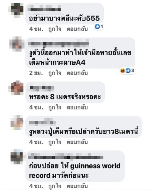 งูเหลือมยาว 8 เมตรโผล่บางโฉลง ใหญ่ราวอนาคอนด้า คอหวยแห่ตีเลขเด็ด