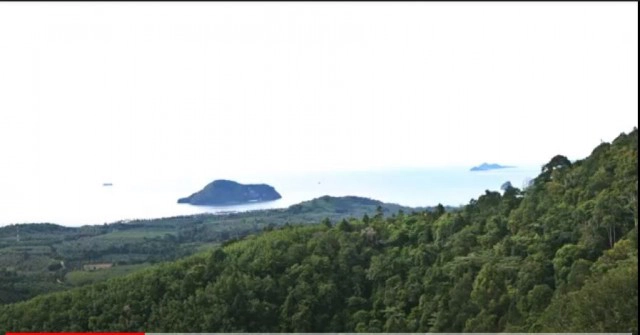 จุดชมวิวป่าเขาเขียวชุมพร แหล่งท่องเที่ยวแห่งใหม่