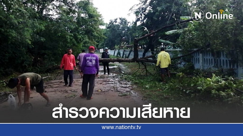 พายุพัดต้นไม้หักทับบ้านเร่งตรวจสอบให้การช่วยเหลือ พายุพัดต้นไม้หักทับบ้านเร่งตรวจสอบให้การช่วยเหลือ