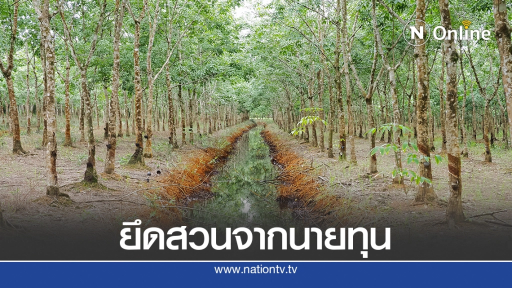 ยึดสวนป่ากระถินเทพา-สวนยางพารา จากนายทุน จ.ตราด