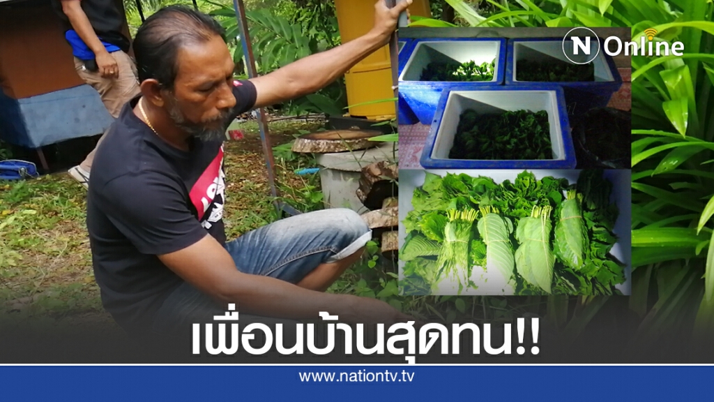 สุดทน แจ้งจับหนุ่มเปิดบ้านขายใบกระท่อม-ยาแก้ไอ ให้เยาวชน