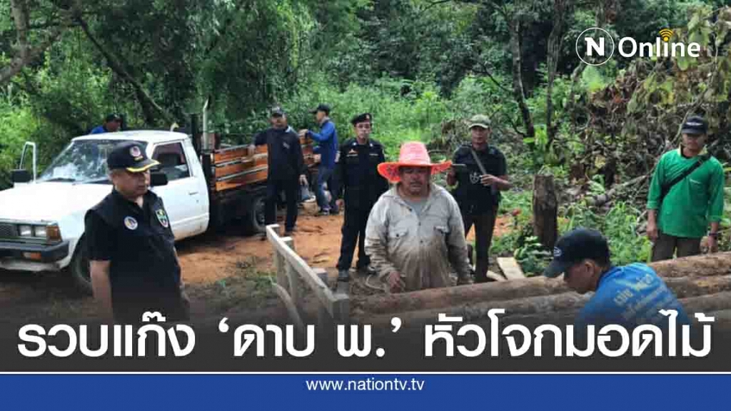 รวบแก๊ง ดาบตร. หัวโจกมอดไม้