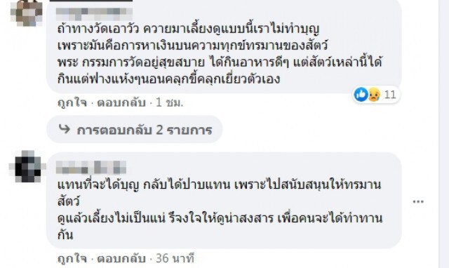 วัดดัง จับควายเผือกใส่คอกรอนทท.บริจาคอาหาร อนาถ มูลกองเท่าเข่า