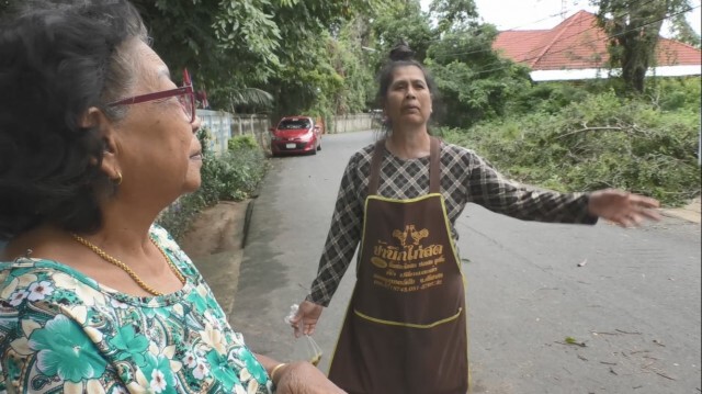 พายุถล่มต้นพะยูง100ปี โค่นทับบ้าน