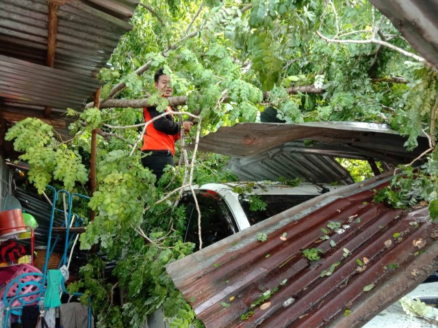 พายุพัดต้นไม้หักทับบ้านเร่งตรวจสอบให้การช่วยเหลือ
