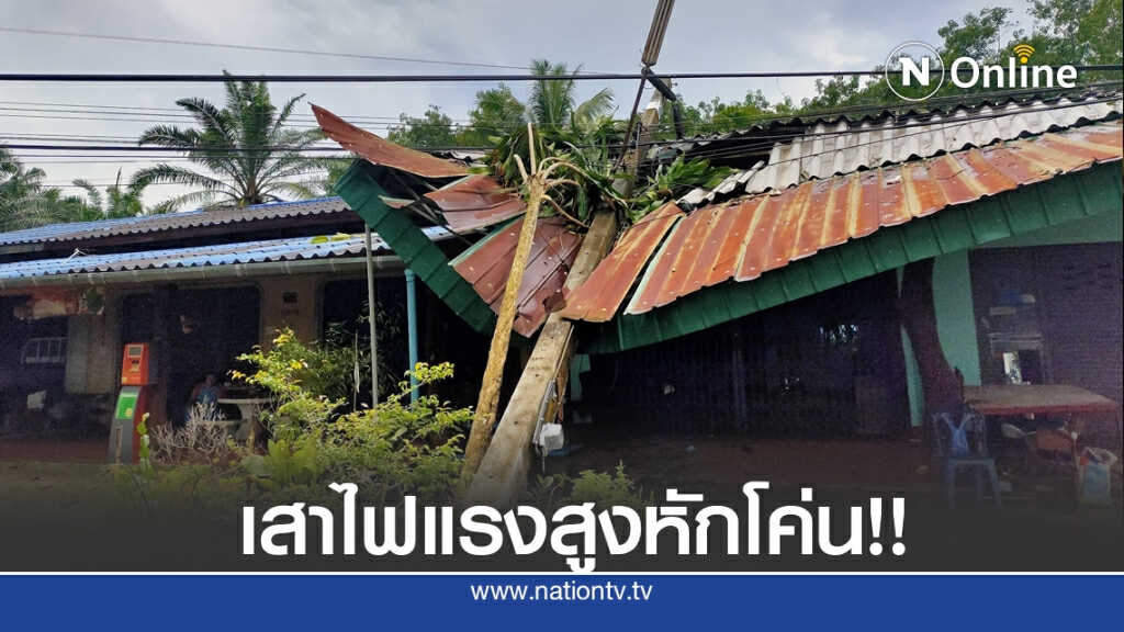 พายุพัดต้นไม้ล้มทับเสาไฟฟ้าแรงสูงล้มนับ 10 ต้น