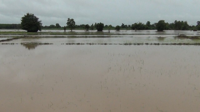 ฝนตกต่อเนื่อง น้ำท่วมถนน บ่อปลา ไร่นาของชาวบ้านเสียหาย