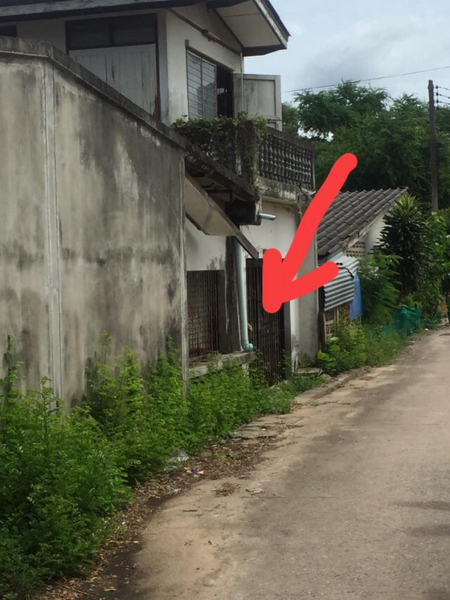 พบหญิงชรา ยื่นมือโบกเรียกขออาหารประทังชีวิต