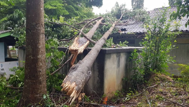 ประกาศหยุดเรียน 3 วัน  ต้นไม้ล้มทับอาคาร-บ้านพักครู