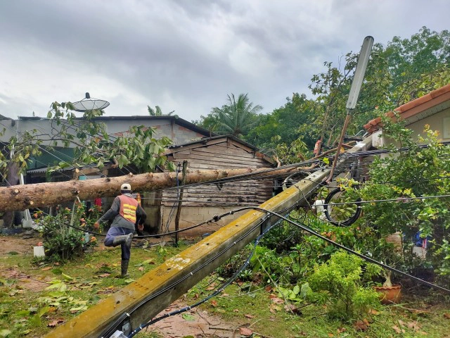 พายุพัดต้นไม้ล้มทับเสาไฟฟ้าแรงสูงล้มนับ 10 ต้น