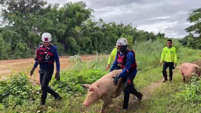 "ฝันดี-ฝันเด่น"ลงพื้นที่วังเหนือช่วยน้ำท่วม