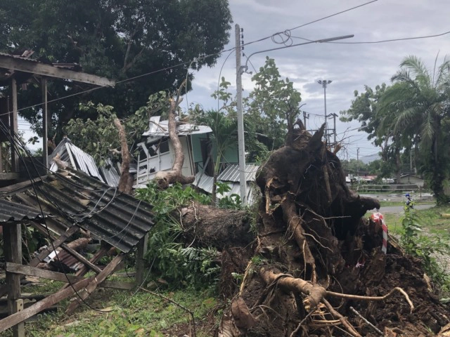 ประกาศหยุดเรียน 3 วัน  ต้นไม้ล้มทับอาคาร-บ้านพักครู