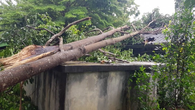 ประกาศหยุดเรียน 3 วัน  ต้นไม้ล้มทับอาคาร-บ้านพักครู