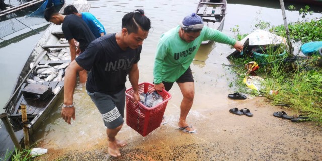พายุฝนถล่มปลากระชังน็อกน้ำตายเป็นแพ