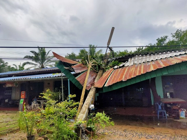 พายุพัดต้นไม้ล้มทับเสาไฟฟ้าแรงสูงล้มนับ 10 ต้น
