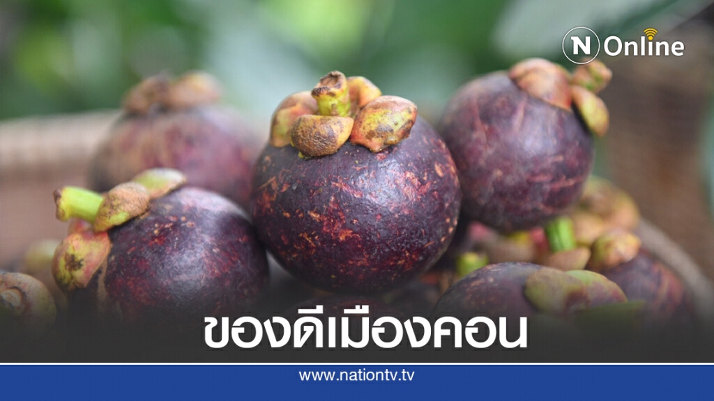 ชู 'มังคุดเขาคีรีวง' สินค้า GI เมืองคอน