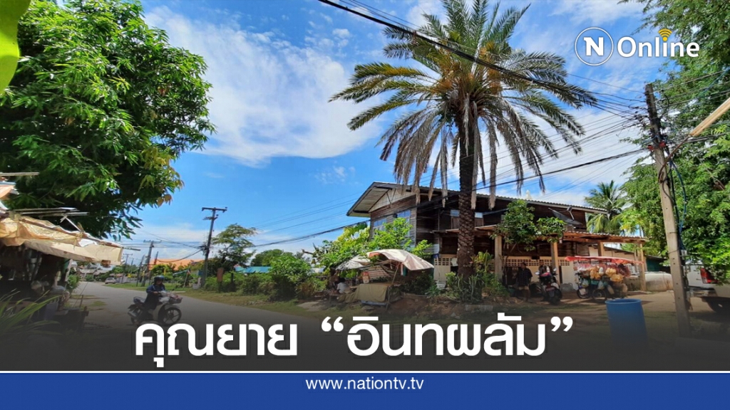 ฮือฮาอินทผลัมอายุ50ปีสูงเท่าตึก3ชั้น