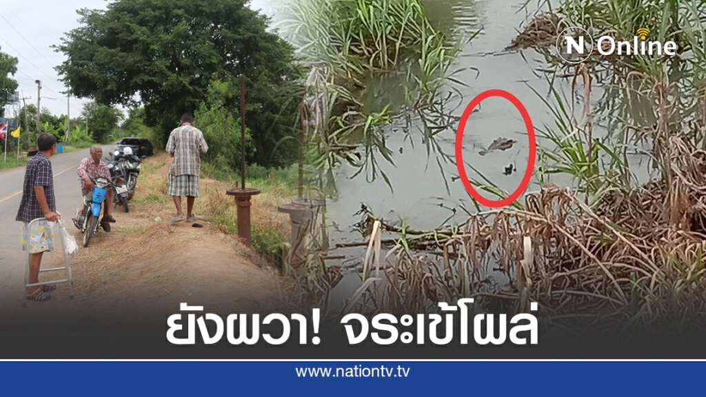 ชาวบ้านยังผวา! จระเข้ยาว 2 เมตร โผล่หัวในคลองระพีพัฒน์ 3 วันยังจับไม่ได้ ชาวบ้านยังผวา! จระเข้ยาว 2 เมตร โผล่หัวในคลองระพีพัฒน์ 3 วันยังจับไม่ได้