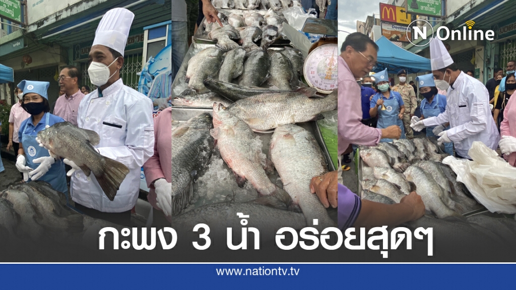 กินปลากะพง 3 น้ำ ทะเลสาบสงขลา กินปลากะพง 3 น้ำ ทะเลสาบสงขลา