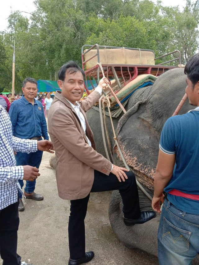 วิกฤติช้างไร้งาน ขาดรายได้หันมารับอาชีพเสริม