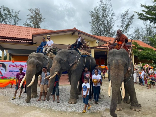 วิกฤติช้างไร้งาน ขาดรายได้หันมารับอาชีพเสริม