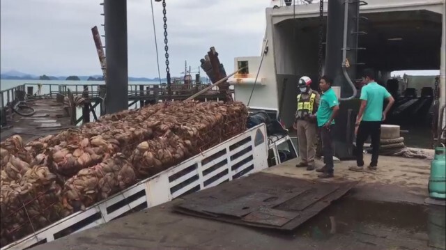 แลมป์ท่าเรือทรุดตัว รถบรรทุก 10 ล้อ ตกสะพาน
