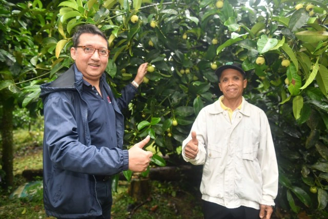 ชู 'มังคุดเขาคีรีวง' สินค้า GI เมืองคอน