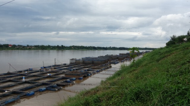 ระทึกน้ำโขงเอ่อวันเดียว 80 ซม.