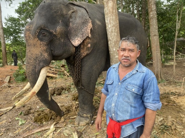 วิกฤติช้างไร้งาน ขาดรายได้หันมารับอาชีพเสริม