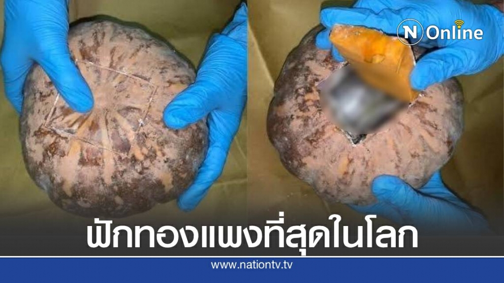 ตำรวจสิงคโปร์บุกจับพ่อค้าฟักทองที่มีราคาแพงที่สุดในโลก ตำรวจสิงคโปร์บุกจับพ่อค้าฟักทองที่มีราคาแพงที่สุดในโลก