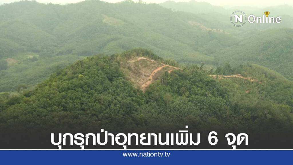 บุกรุกป่าอุทยานเพิ่ม 6 จุด แปลงสภาพเป็นสวนยางฯ บุกรุกป่าอุทยานเพิ่ม 6 จุด แปลงสภาพเป็นสวนยางฯ