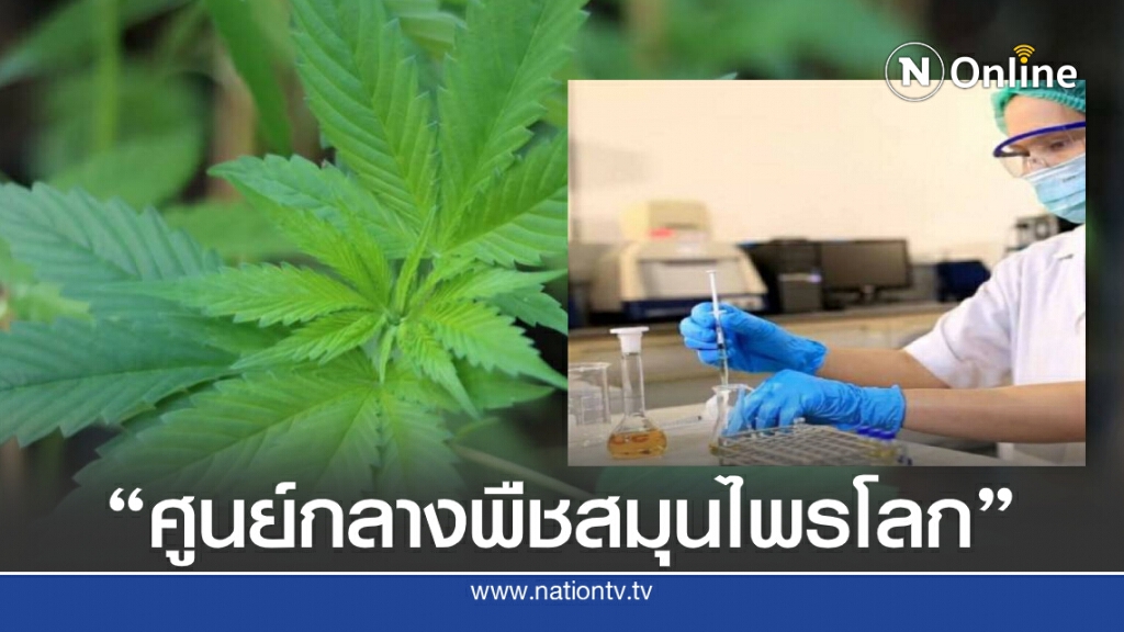 ไทยพร้อมก้าวขึ้นเป็น "ศูนย์กลางของพืชสมุนไพรโลก