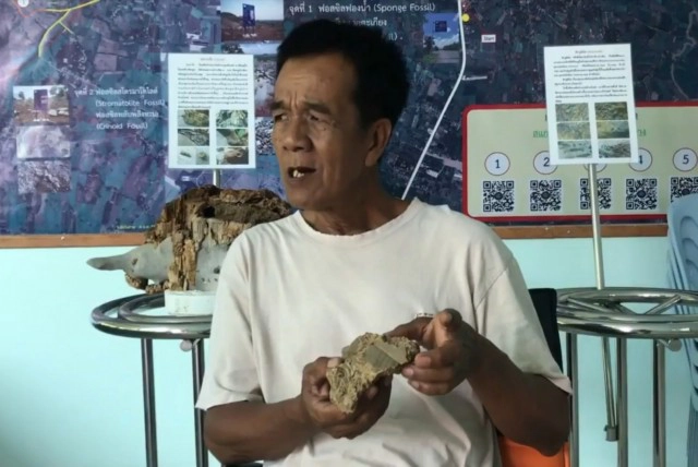 พบฟอสซิลใบไม้อายุ 240-280 ล้านปียุคเพอร์เมียน