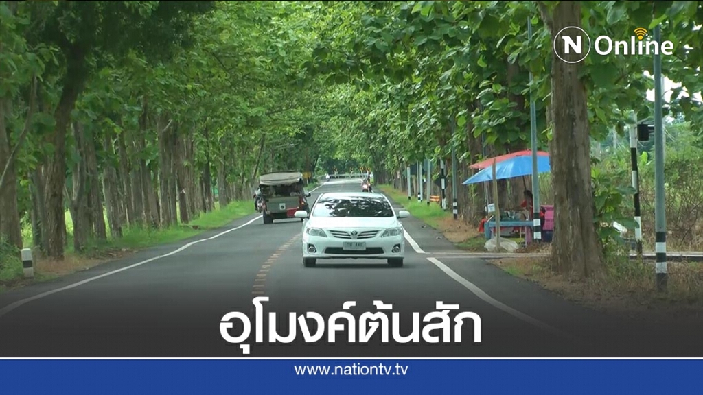 ประทับใจ "อุโมงค์ต้นสัก" ยาวกว่า5กม. ประทับใจ "อุโมงค์ต้นสัก" ยาวกว่า5กม.