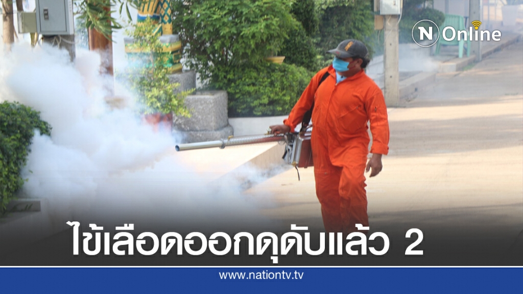 ไข้เลือดออกระบาดสารคามดับแล้ว 2 ไข้เลือดออกระบาดสารคามดับแล้ว 2