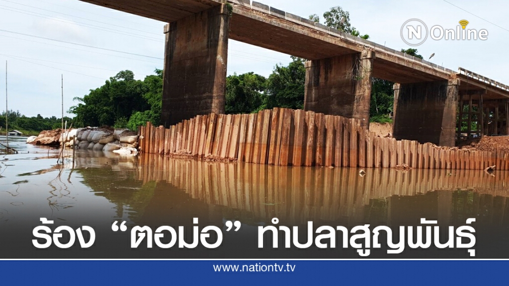 กลุ่มรักลุ่มน้ำโขงร้องสื่อ ขยายสะพานตอกตอม่อทำปลาสูญพันธุ์
